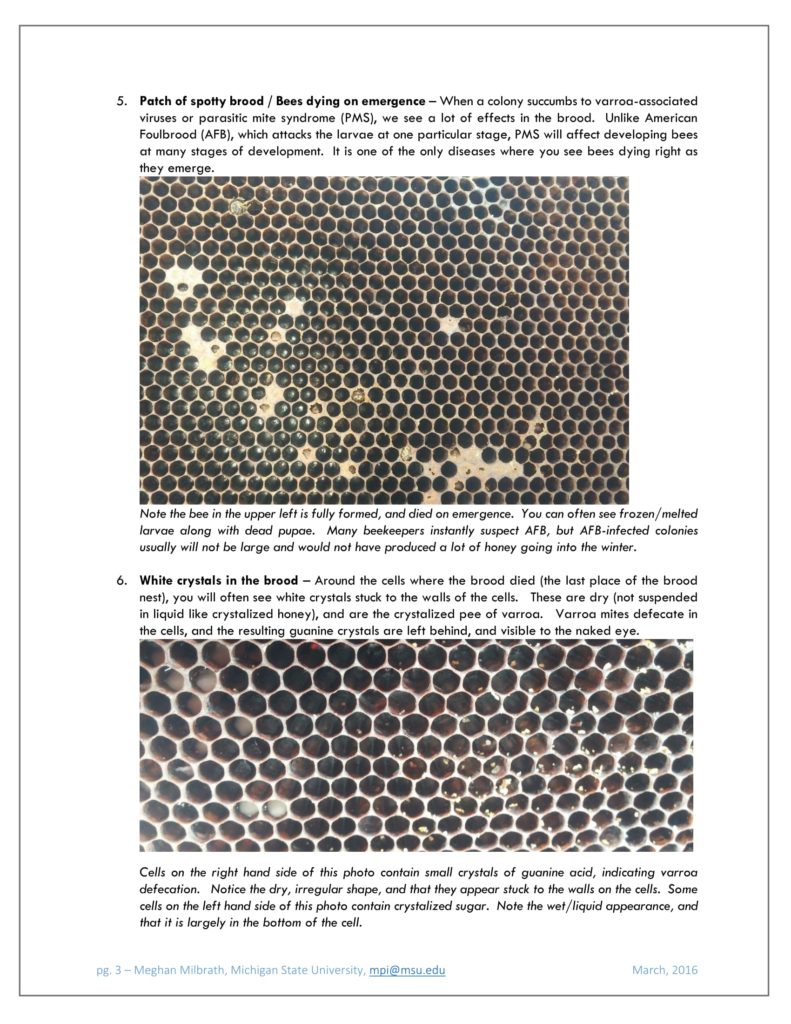 2 Why Did my Honey Bees Die this Winter Milbrath-3 (3)